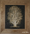 /album/fotogalerie-stromy/strom-0636-jpg/